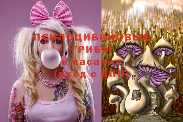 эйфоретик Алзамай