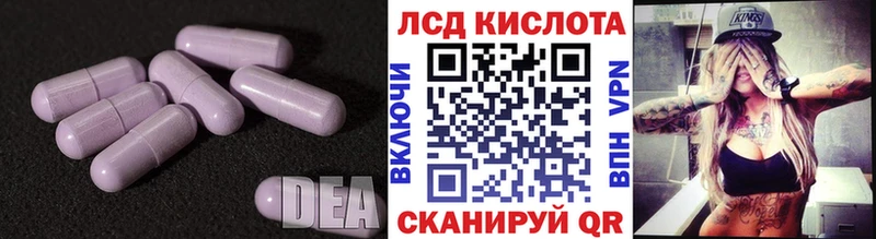 Лсд 25 экстази кислота  гидра онион  Елизаветинская 